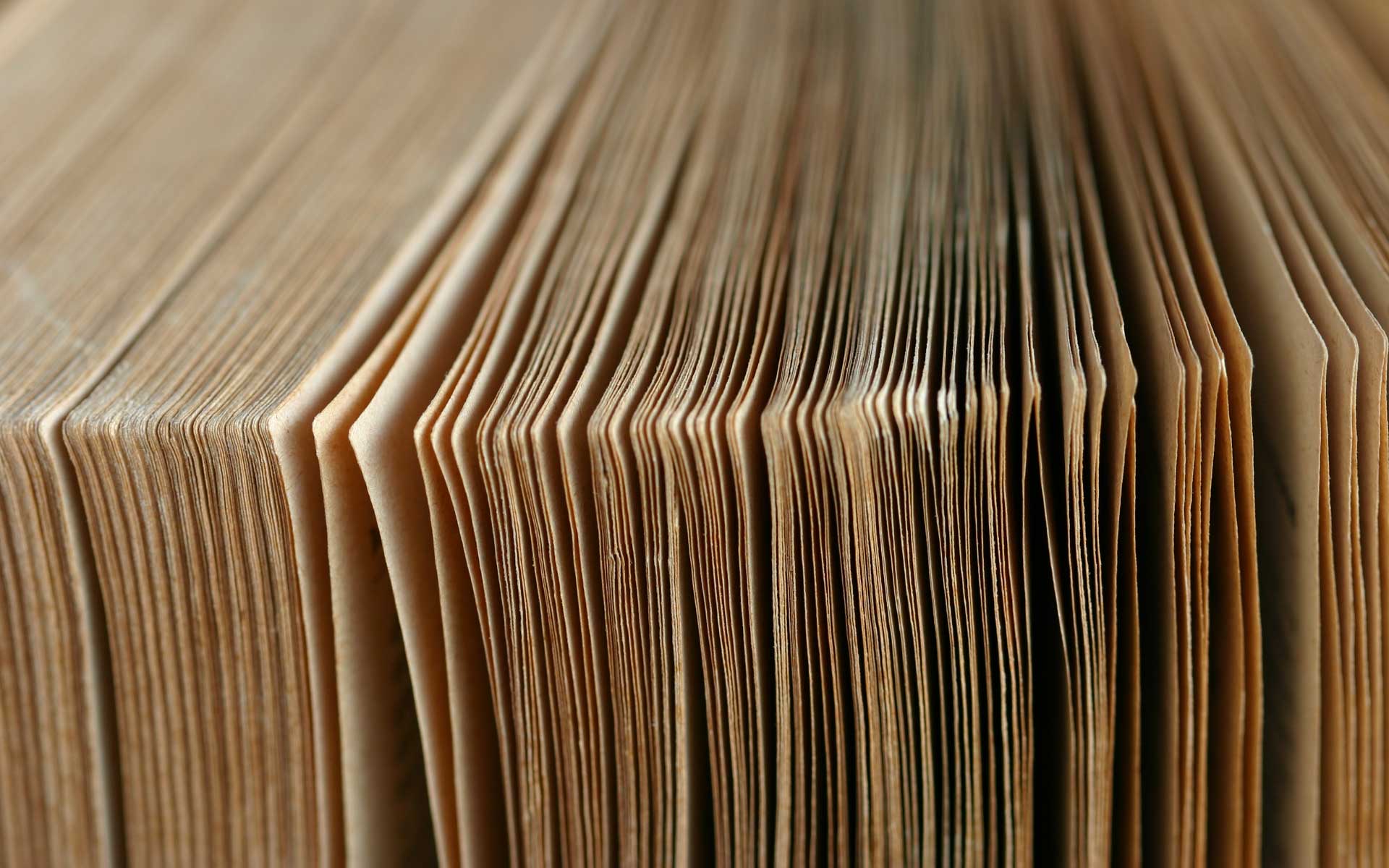 WordPress Authors Dropdown & Custom Roles